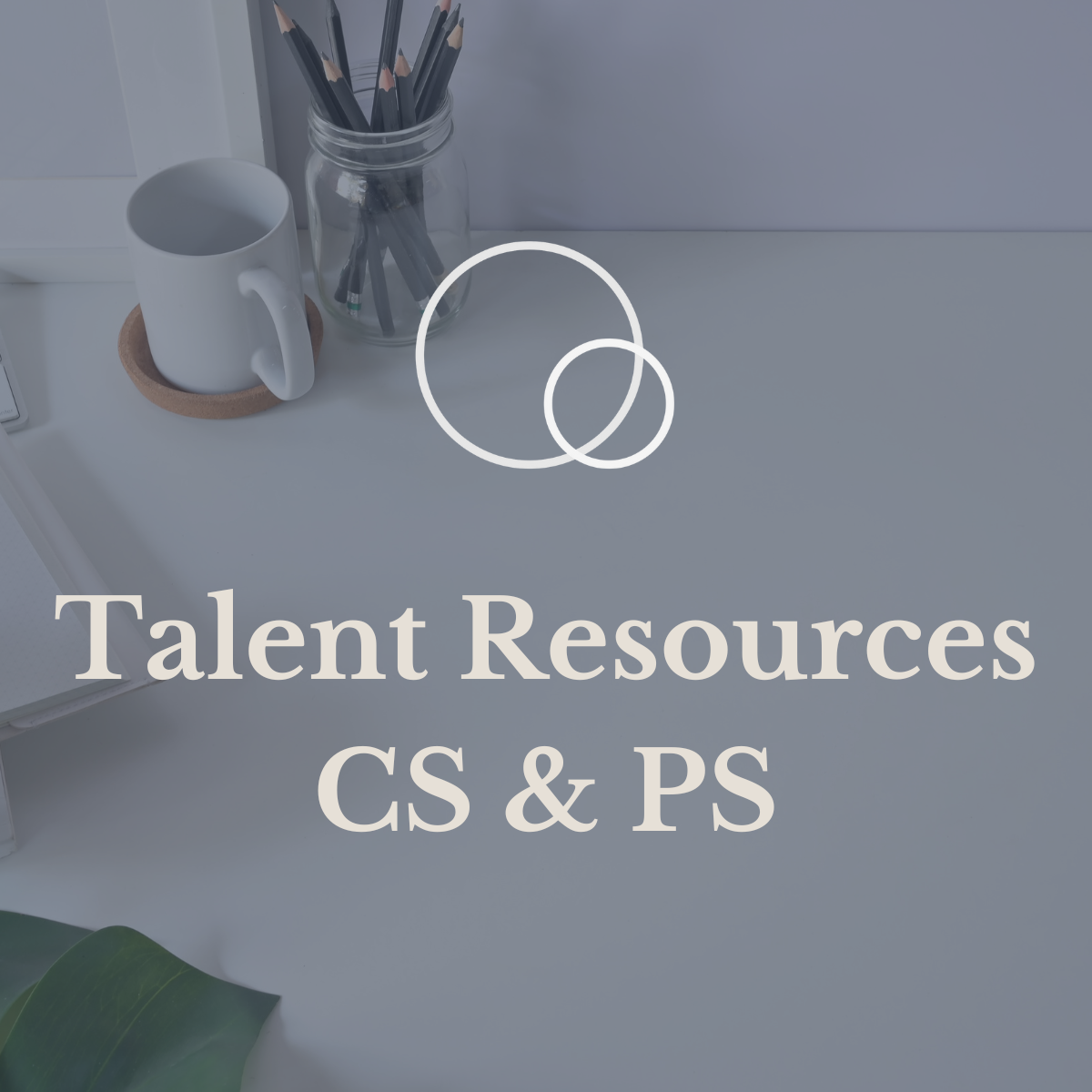 Talent Resources Customer Success and Professional Services