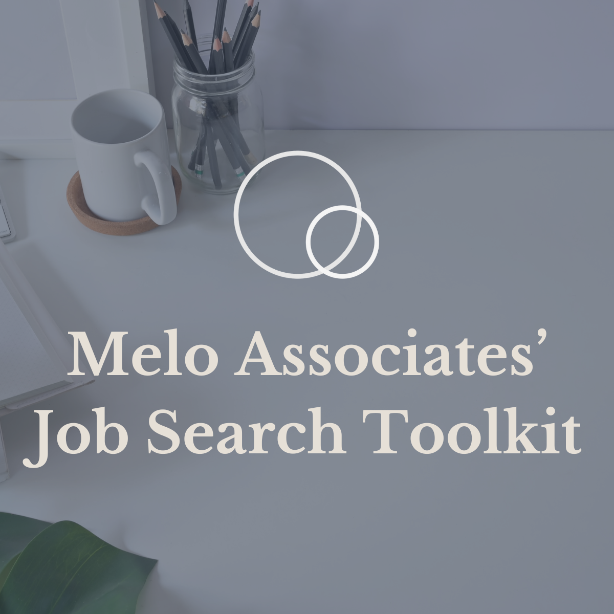 Job Search Toolkit